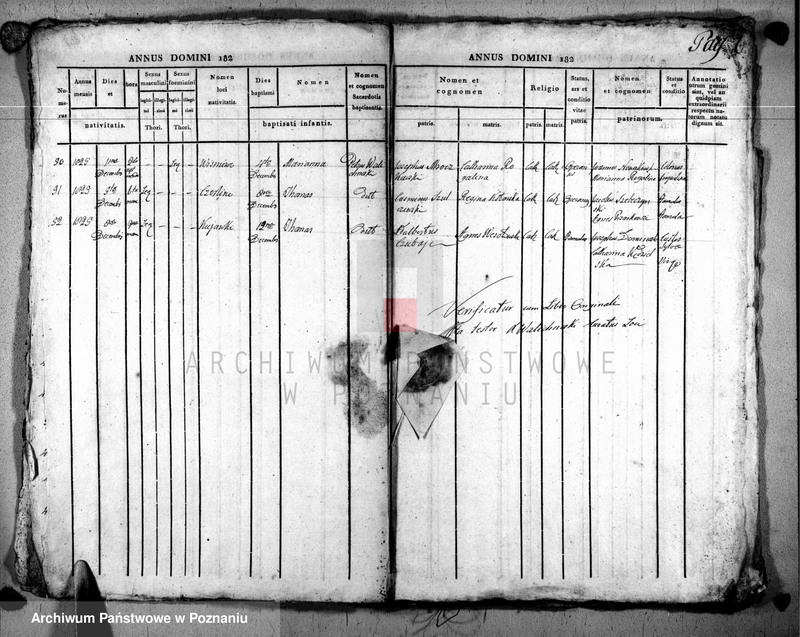 image.from.unit.number "Duplikat baptisatorum, copulatorum u. mortuorum"