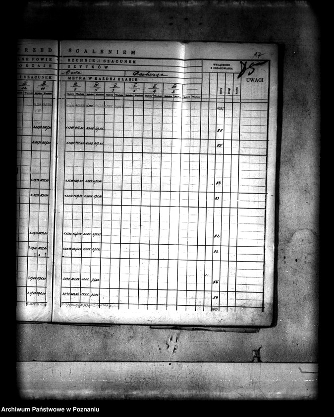 Obraz 20 z jednostki "Szczegółowy rejestr pomiarowo-szacunkowy wsi Spławie powiatu konińskiego przed scaleniem"