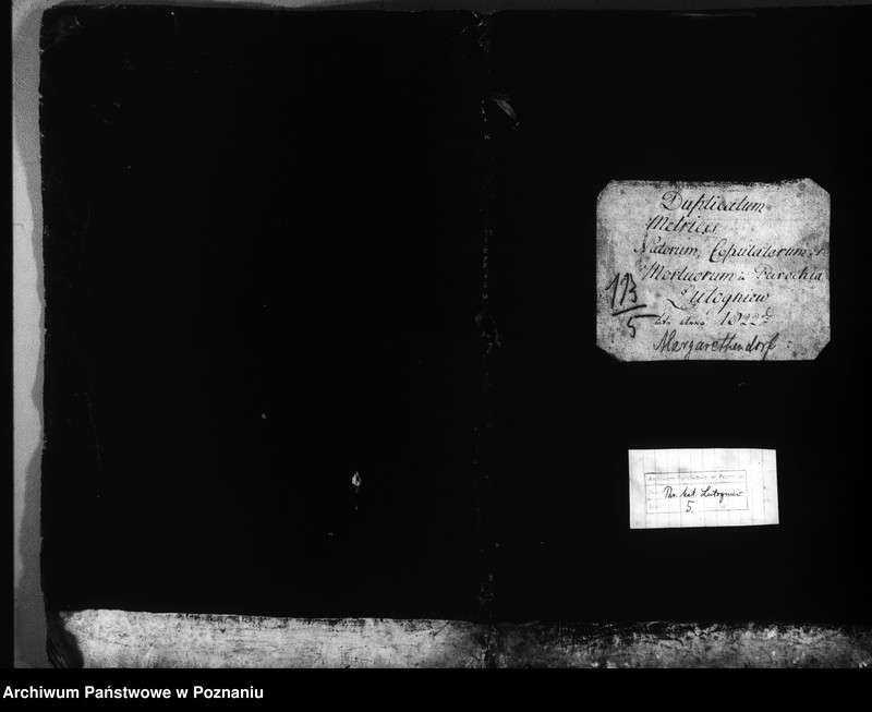 Obraz 2 z jednostki "Duplicatum natorum, copulatorum, mortuorum"