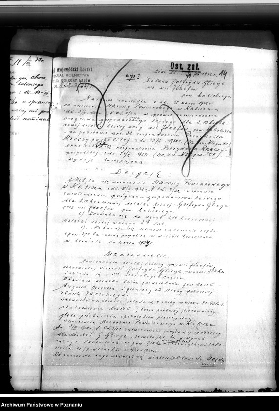 Obraz 18 z jednostki "Gmina Chocz w powiecie kaliskim /nadzór nad gospodarką leśną/"