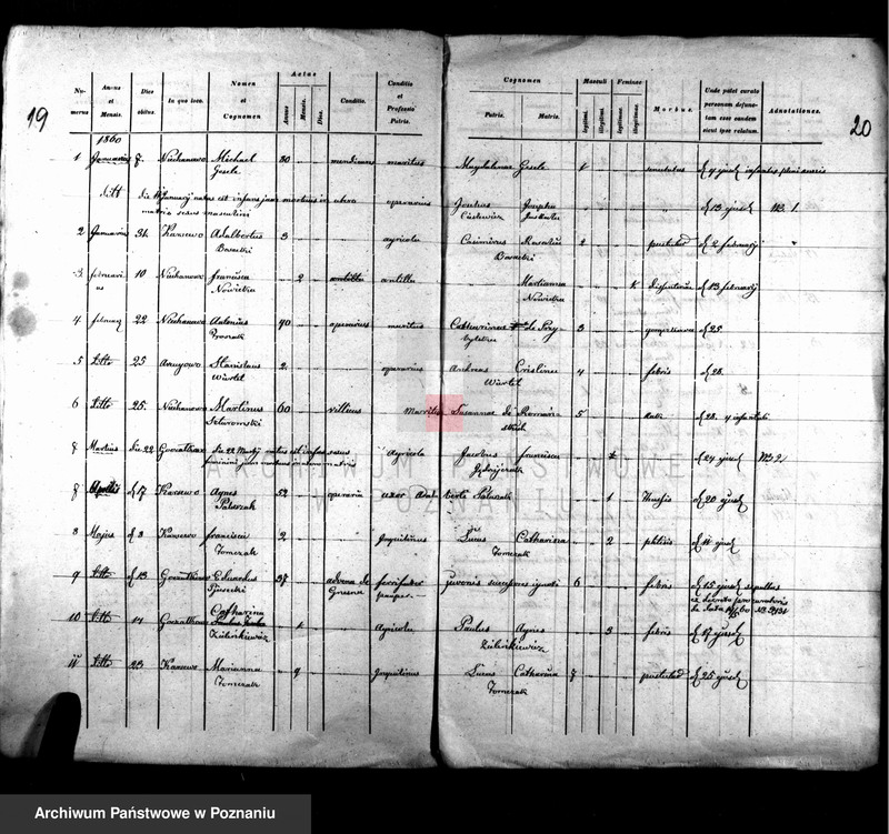 image.from.unit.number "Liber copulatorum, baptisatorum, mortuorum"