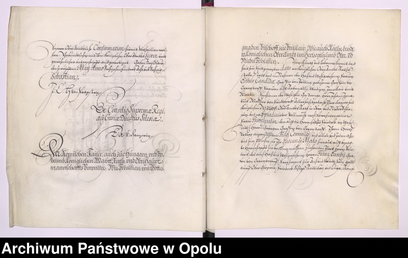 Obraz 16 z kolekcji "Testament Jerzego Oppersdorfa, właściciela Głogówka111"
