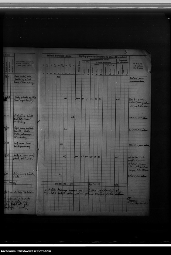 Obraz 8 z jednostki "Program urządzenia gospodarstwa leśnego dla lasu Helbiga Willyego w gminie"
