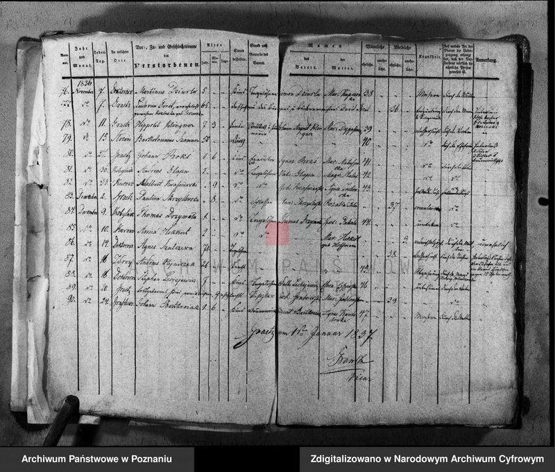 image.from.unit.number "Duplikat urodzeń, małżeństw i zgonów"