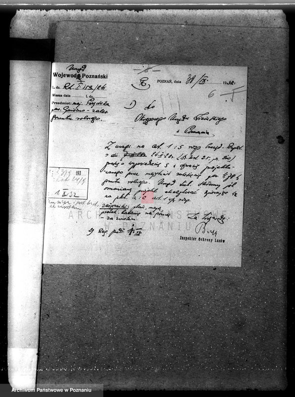 Obraz 10 z jednostki "Nadzór nad gospodarką w lasach majętności Przysieka powiecie gnieźnieńskim"