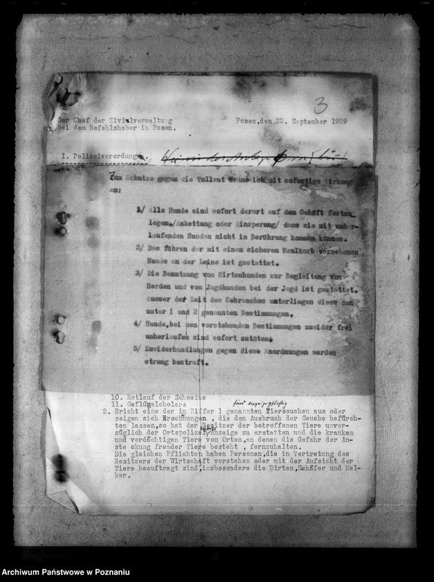 Obraz 7 z jednostki "Tollwut"