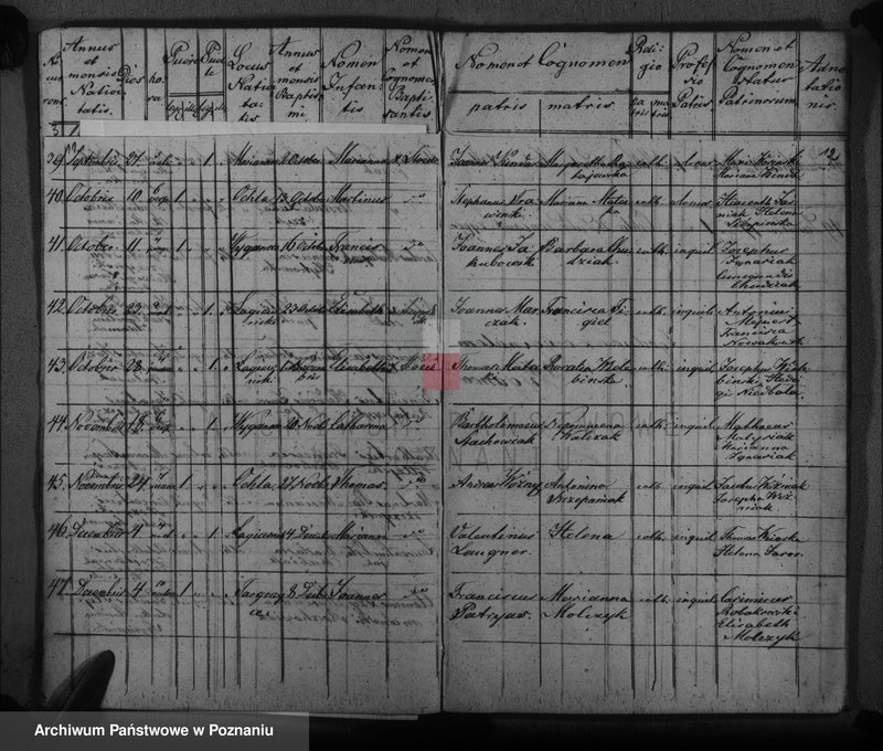 image.from.unit.number "Księga urodzeń, małżeństw i zgonów"