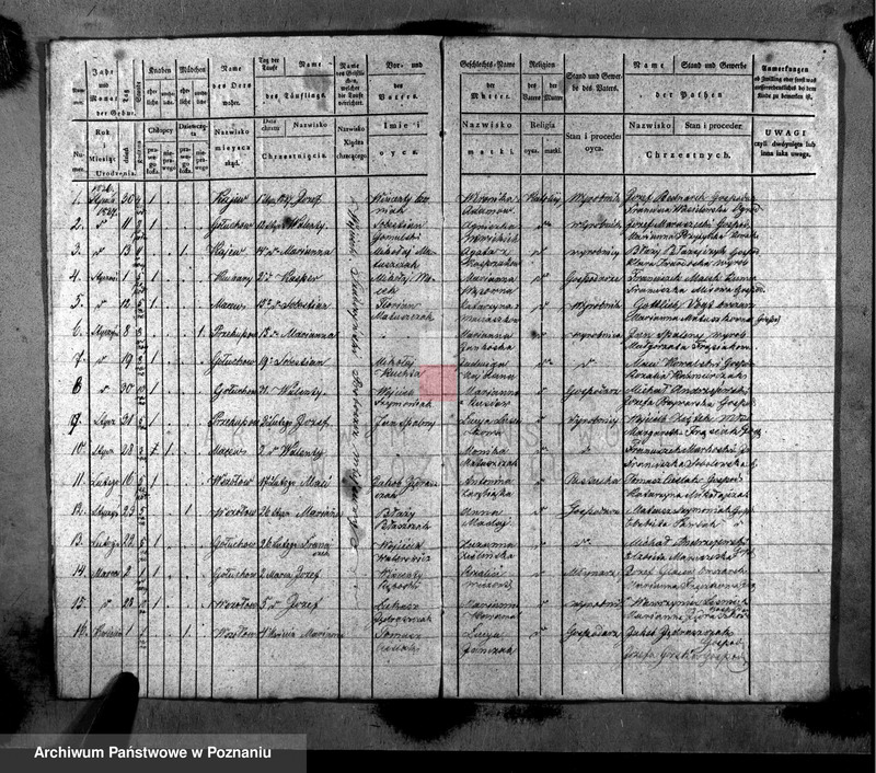 Obraz z zespołu "Akta stanu cywilnego Parafii Rzymskokatolickiej Gołuchów (pow. pleszewski)"