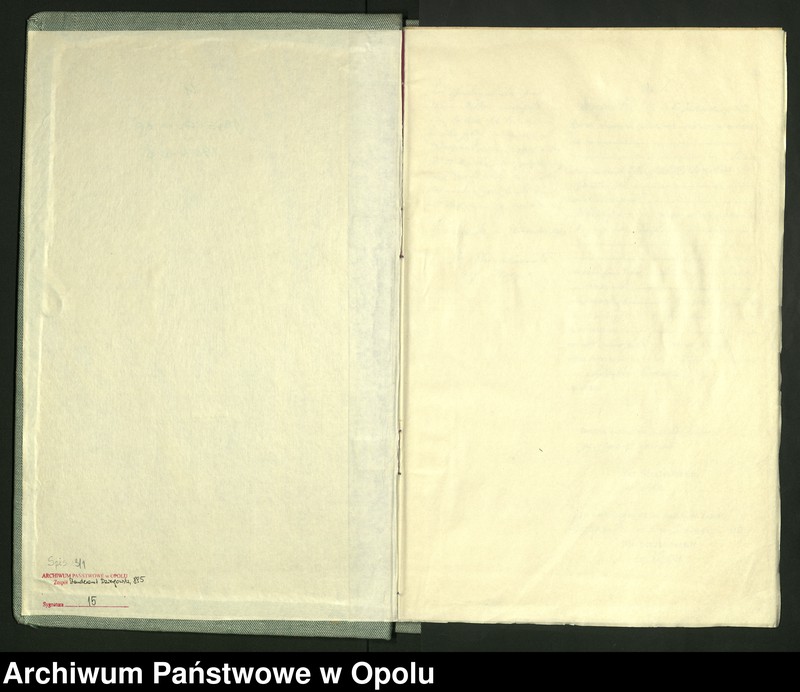 Obraz 3 z jednostki "Urząd Stanu Cywilnego Dziergowice Księga urodzeń rok 1903-05"