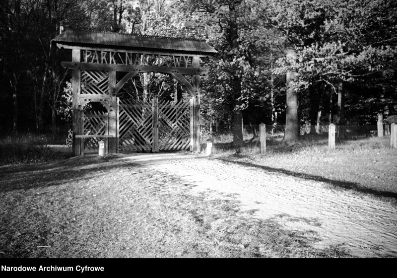 image.from.unit.number "Białowieża"