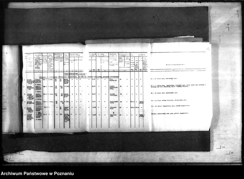 Obraz 16 z jednostki "Wykaz gruntów i obiektów należących do żandarmerii w rejencji łódzkiej"