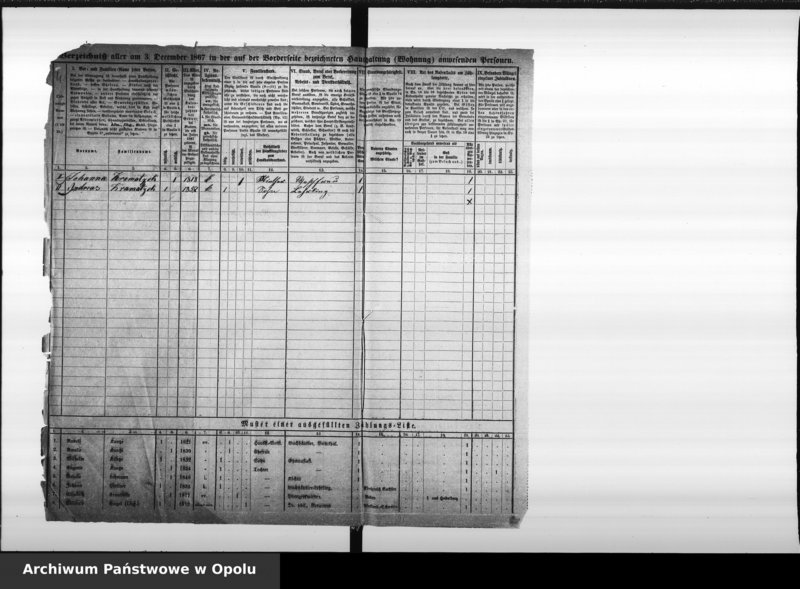 Obraz 9 z jednostki "[Okręg spisowy 12 - spis ludności 1867]"