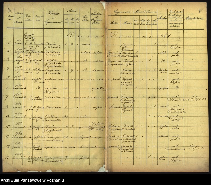 Obraz 4 z jednostki "Księga zgonów"