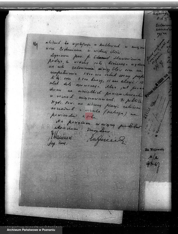 Obraz 19 z jednostki "Zalesienie nieużytków w powiecie kolskim"