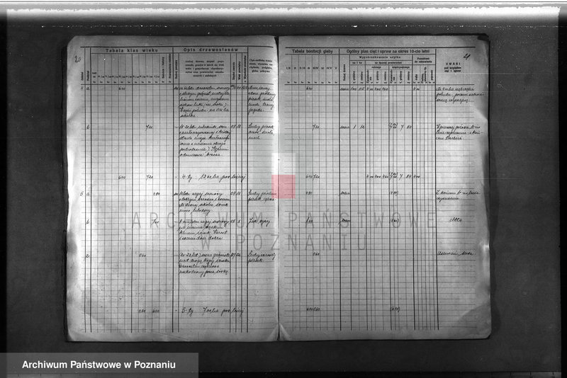 Obraz 19 z jednostki "Plan urządzenia gospodarstwa leśnego lasu majętności Łężeczki w powiecie międzychodzkim 1930-1939"