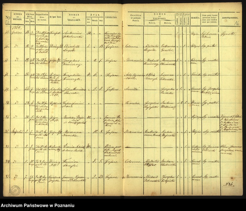 Obraz 11 z jednostki "Księga zgonów"