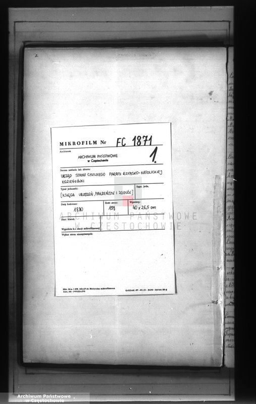 Obraz z jednostki "[Duplikaty akt urodzeń, małżeństw i zgonów z 1880 roku]"