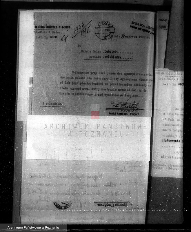 Obraz 20 z jednostki "Sprawa zmiany rodzaju użytkowania 25,47 ha gruntów leśnych w majątku Ozorzyn dla celów parcelacji powiat kolski"