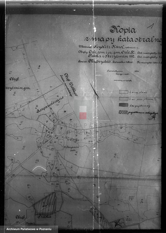 Obraz 8 z jednostki "Dodatkowy plan urządzenia gospodarstwa leśnego majątku Śródka powiat międzychodzki"
