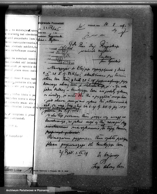 Obraz 20 z jednostki "Nadzór nad gospodarką leśną w lasach majętności Stajkowo powiecie czarnkowskim"