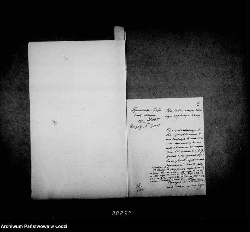 Obraz 12 z jednostki "O zamoščenji Lipovoj ulicy"