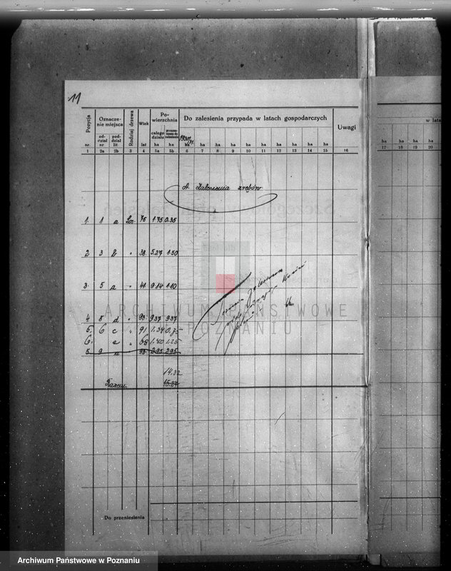 Obraz 15 z jednostki "Plan urządzenia gospodarstwa leśnego dla lasu majętności Grąblewo w powiecie nowotomyskim"