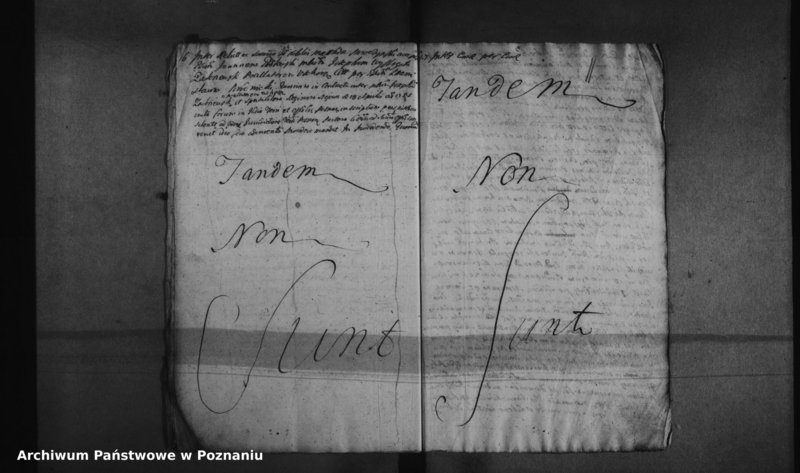 Obraz 14 z jednostki "Decreta officii [protocollon]"