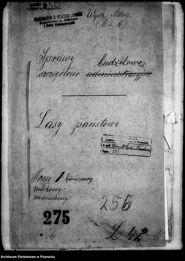 Obraz 4 z jednostki "Lasy państwowe"