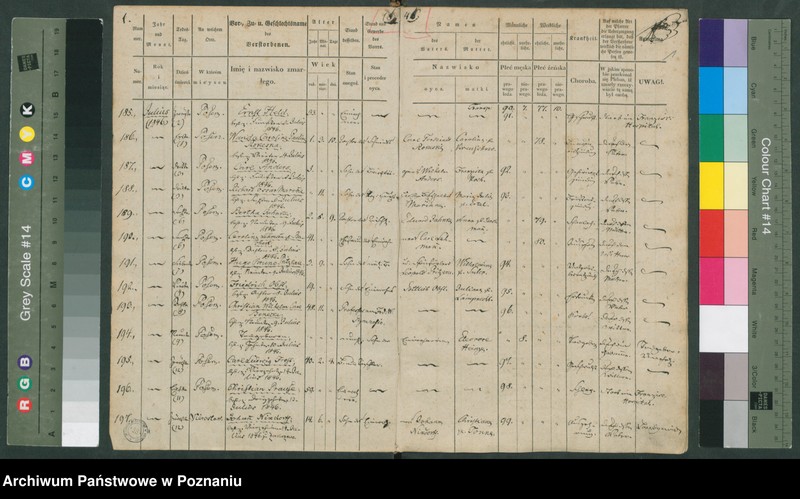 Obraz 2 z jednostki "Sterbenbuch"