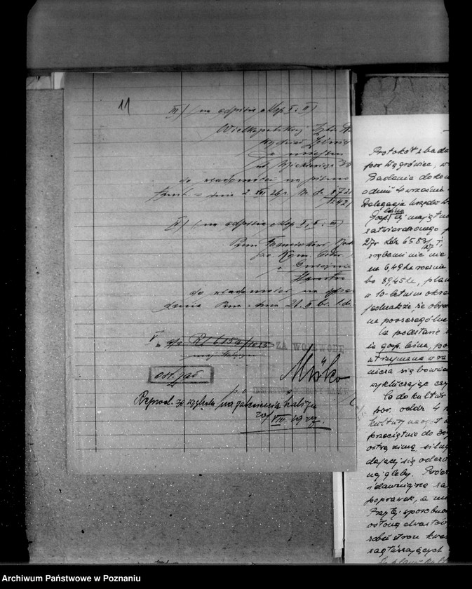 Obraz 15 z jednostki "Majętność leśna Stołężyn powiat wągrowiecki"