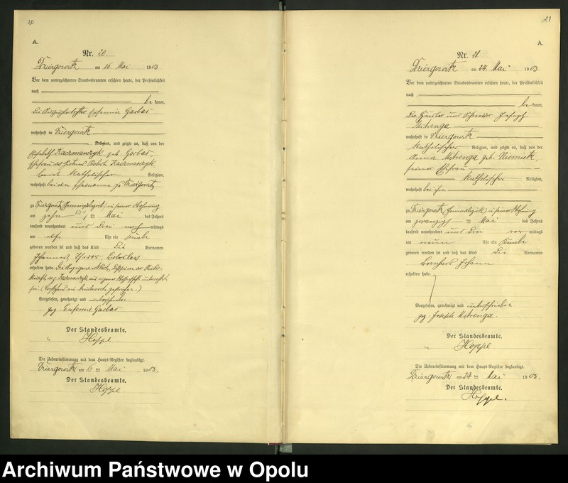 Obraz 14 z jednostki "Urząd Stanu Cywilnego Dziergowice Księga urodzeń rok 1903-05"