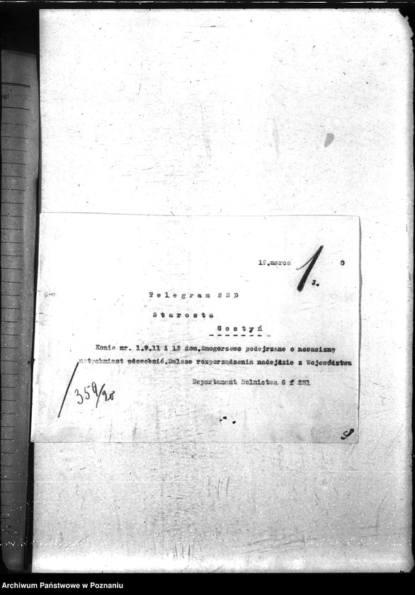 Obraz 5 z jednostki "Nosacizna - Gostyń"