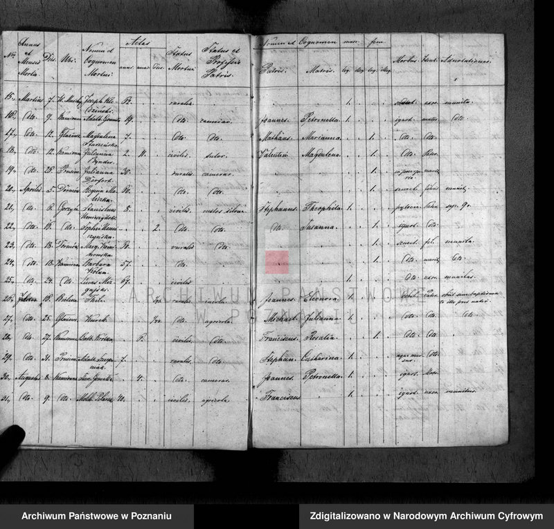 Obraz 13 z jednostki "Duplikat baptisatorum, copulatorum, mortuorum"