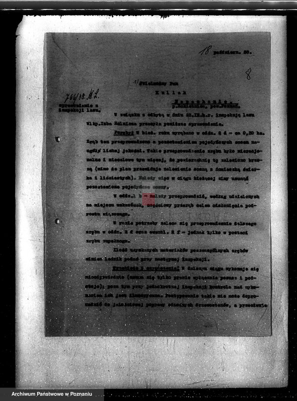 Obraz 12 z jednostki "Napachanie powiat poznański nadzór nad gospodarką leśną"