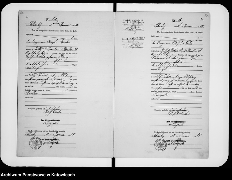 image.from.unit.number "Księga urodzeń nr 1-196"