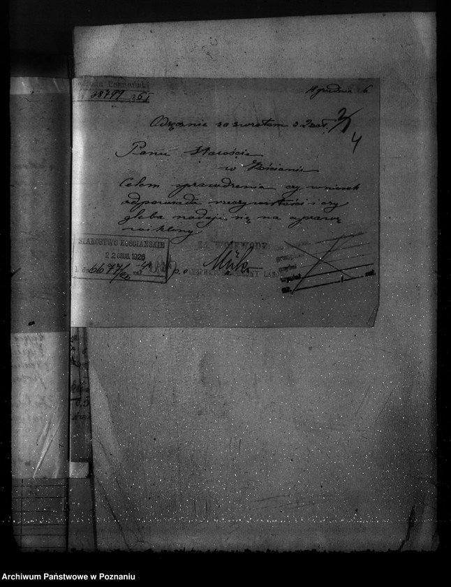 Obraz 8 z jednostki "Majętność leśna Osiek powiat kościański"