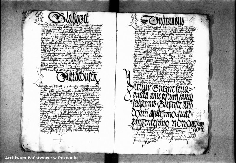 Obraz 19 z jednostki "Inscriptiones, relationes, decreta [inducta]"