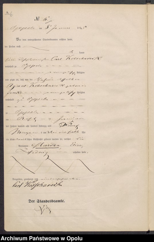 Obraz 10 z jednostki "[Księga urodzeń za rok 1875 Opole nr 1-480]"