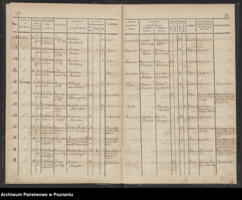 Obraz 16 z jednostki "Księga zgonów"