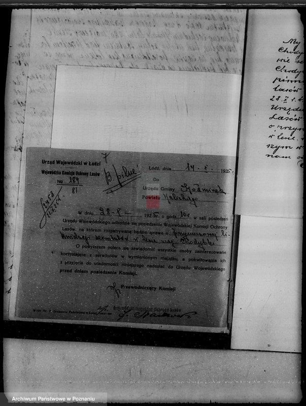 Obraz 11 z jednostki "Gmina Koźminek powiat kaliski /sprawy leśne/"