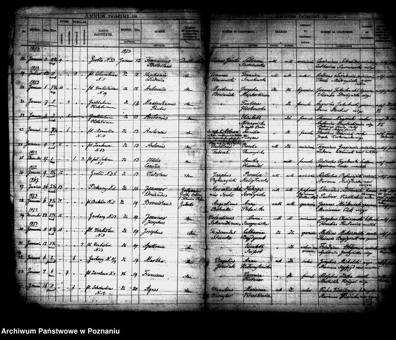 Obraz 3 z jednostki "Księga urodzin"