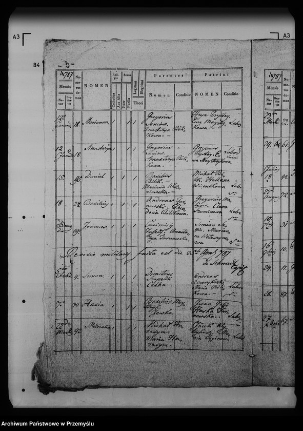 Obraz 7 z jednostki "[Kopie ksiąg metrykalnych parafii Krynica (dekanat Medenice)]"