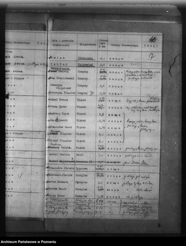 Obraz 11 z jednostki "Lasy do 30 ha na terenie powiatu poznańskiego"