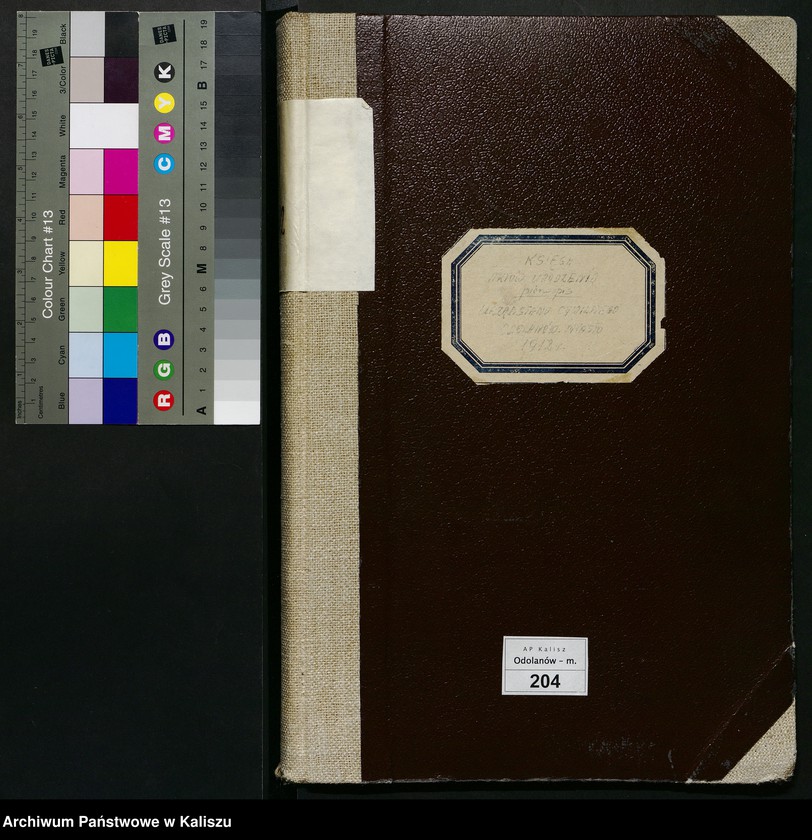 image.from.unit.number "[Księga urodzeń]"