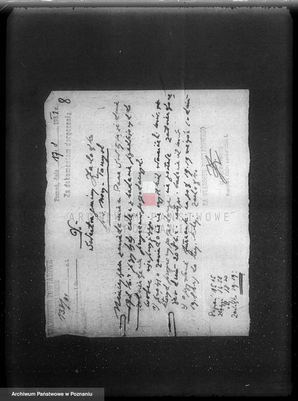 Obraz 13 z jednostki "/Nadzór nad gospodarką leśną/ protokoły badania lasów, programy gospodarcze powiat nowotomyski"