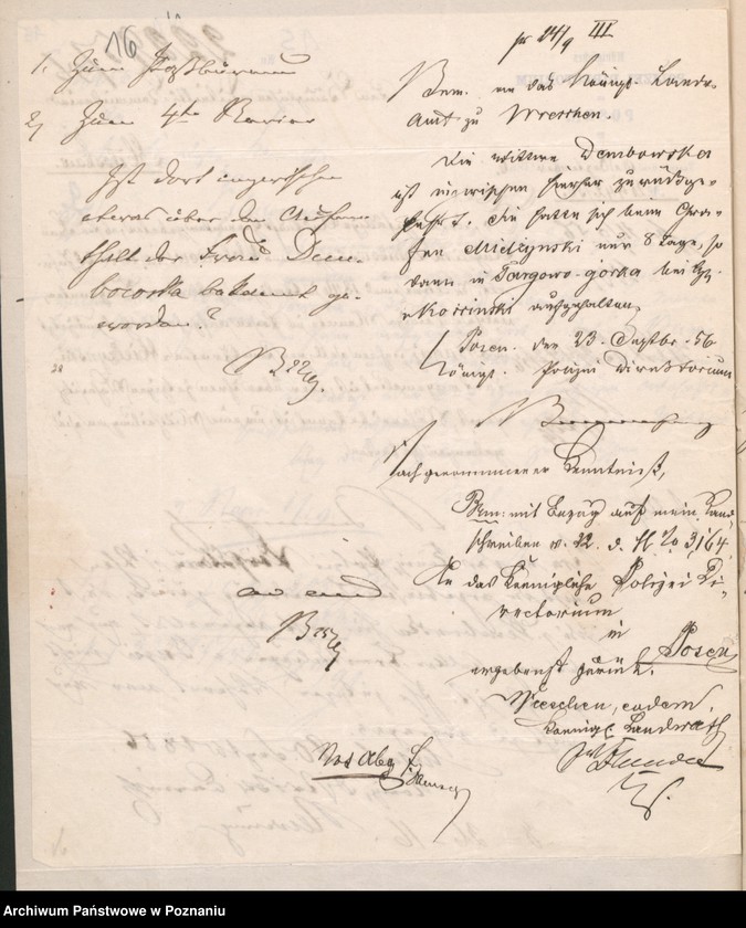 Obraz 20 z jednostki "A. betr. Personalia der Witwe Angelica von Dembowska und ihre Söhne Czeslaw und Eduard"