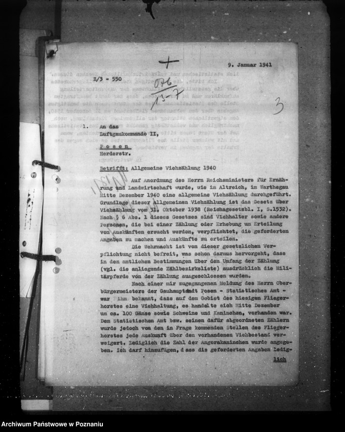 Obraz 7 z jednostki "Zarządzenia i korespondencja w sprawie sporządzenia spisu bydła"