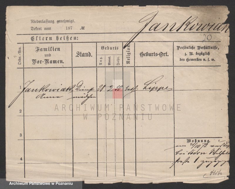 Obraz 20 z jednostki "Jankowiak (samotne kobiety)"