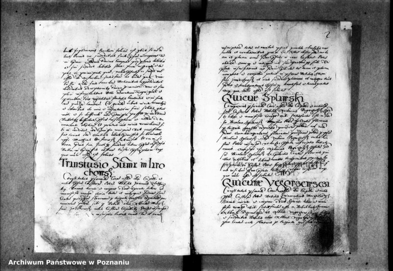 Obraz 7 z jednostki "Inscriptiones, relationes [inducta]"