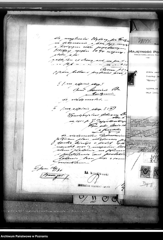 Obraz 7 z jednostki "Lasy majętności Wydawy w powiecie gostyńskim"